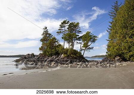 Stock Photo - An Island At Tonquin Beach Along The Lighthouse Trail; Tofino British Columbia Canada. Fotosearch