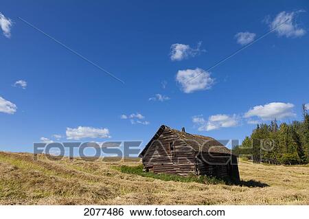 An old weathered wooden structure in a field; alberta canada View Large Photo Image Stock Photograph - An old weathered wooden structure in a field; alberta canada. Fotosearch