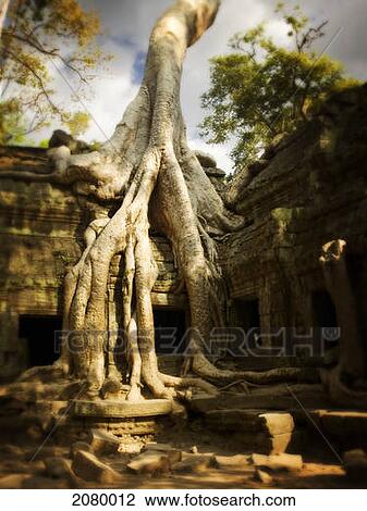 Angkor wat; cambodia View Large Photo Image Stock Image - Angkor wat; cambodia. Fotosearch