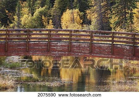 Arched Wooden Bridge Over A Stream Reflecting Fall Colours On The Trees; Calgary Alberta Canada View Large Photo Image Stock Image - Arched Wooden Bridge Over A Stream Reflecting Fall Colours On The Trees; Calgary Alberta Canada. Fotosearch