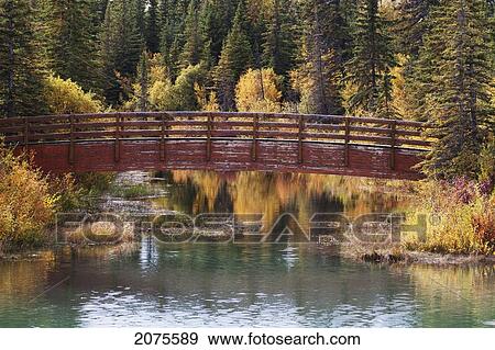 Arched Wooden Bridge Over A Stream Reflecting Fall Colours On The Trees; Calgary Alberta Canada View Large Photo Image Stock Photo - Arched Wooden Bridge Over A Stream Reflecting Fall Colours On The Trees; Calgary Alberta Canada. Fotosearch