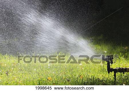 Automatic Sprinkler Watering Grass; Zaragoza Province Aragon Spain View Large Photo Image Stock Photography - Automatic Sprinkler Watering Grass; Zaragoza Province Aragon Spain. Fotosearch