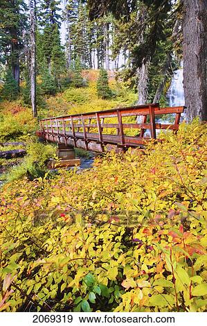 Stock Photo - Autumn Colours Add Beauty To Umbrella Falls In Mount Hood National Forest; Oregon United States Of America. Fotosearch