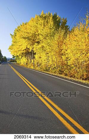 Picture - Autumn Colours Along The Road In The Oregon Cascades; Oregon United States Of America. Fotosearch