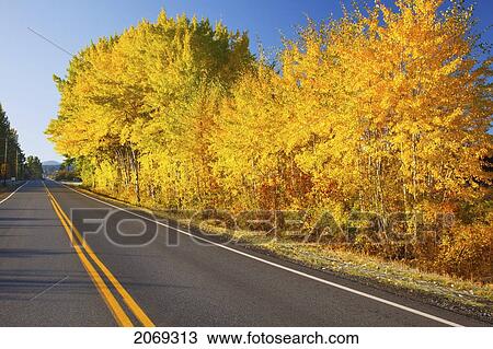 Stock Image - Autumn Colours Along The Road In The Oregon Cascades; Oregon United States Of America. Fotosearch