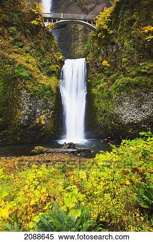 Stock Photography - Autumn colours at multnomah falls columbia river gorge national scenic area; oregon united states of america. Fotosearch