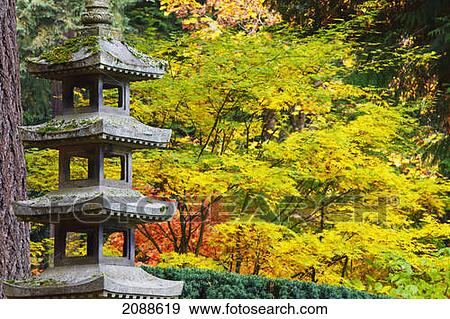 Stock Photo - Autumn colours at the japanese garden; portland oregon united states of america. Fotosearch