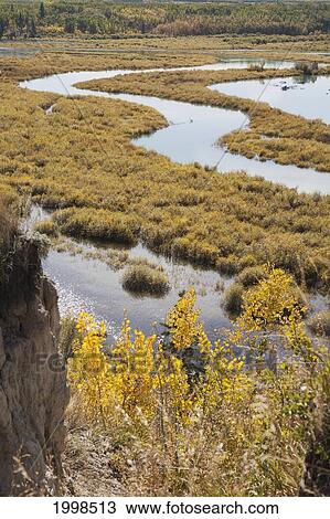 Autumn Colours In A River Delta Viewed From The Top Of A Cliff; Calgary Alberta Canada View Large Photo Image Stock Image - Autumn Colours In A River Delta Viewed From The Top Of A Cliff; Calgary Alberta Canada. Fotosearch