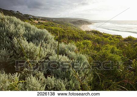 Beach And Cliffs On The Coastline; Yallingup Western Australia Australia View Large Photo Image Stock Photo - Beach And Cliffs On The Coastline; Yallingup Western Australia Australia. Fotosearch
