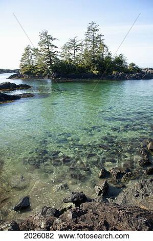 Beautiful Ucluth Beach At Wya Point Near Ucluelet On Vancouver Island; British Columbia Canada View Large Photo Image Stock Image - Beautiful Ucluth Beach At Wya Point Near Ucluelet On Vancouver Island; British Columbia Canada. Fotosearch