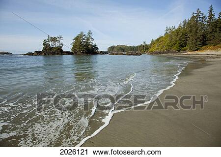 Beautiful Ucluth Beach At Wya Point Near Ucluelet On Vancouver Island; British Columbia Canada View Large Photo Image Stock Image - Beautiful Ucluth Beach At Wya Point Near Ucluelet On Vancouver Island; British Columbia Canada. Fotosearch