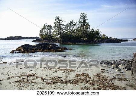Beautiful Ucluth Beach At Wya Point Near Ucluelet On Vancouver Island; British Columbia Canada View Large Photo Image Stock Photo - Beautiful Ucluth Beach At Wya Point Near Ucluelet On Vancouver Island; British Columbia Canada. Fotosearch
