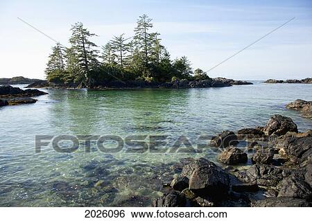 Beautiful Ucluth Beach At Wya Point Near Ucluelet On Vancouver Island; British Columbia Canada View Large Photo Image Stock Photograph - Beautiful Ucluth Beach At Wya Point Near Ucluelet On Vancouver Island; British Columbia Canada. Fotosearch