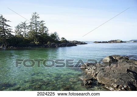 Beautiful Ucluth Beach At Wya Point Near Ucluelet; British Columbia Canada View Large Photo Image Stock Photography - Beautiful Ucluth Beach At Wya Point Near Ucluelet; British Columbia Canada. Fotosearch