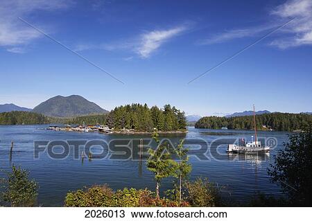 Boats In The Harbour; Tofino British Columbia Canada View Large Photo Image Stock Image - Boats In The Harbour; Tofino British Columbia Canada. Fotosearch