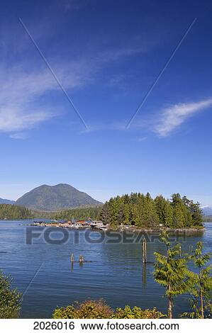 Stock Photograph - Boats In The Harbour; Tofino British Columbia Canada. Fotosearch