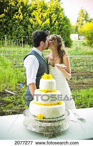 Stock Photo - Bride and groom kissing in front of their wedding cake; vancouver british columbia canada. Fotosearch
