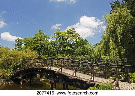 Bridge in the botanical gardens; wroclaw dolnoslaskie poland View Large Photo Image Stock Photograph - Bridge in the botanical gardens; wroclaw dolnoslaskie poland. Fotosearch