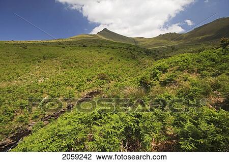 Stock Image - Caherconree Peak Between Aughils And Camp On The Dingle Peninsula; County Kerry Munster Ireland. Fotosearch