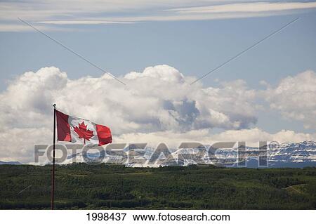 Canadian Flag Blowing In The Wind With Snowy Mountains In The Distance And Clouds With Blue Sky; Alberta Canada View Large Photo Image Stock Photo - Canadian Flag Blowing In The Wind With Snowy Mountains In The Distance And Clouds With Blue Sky; Alberta Canada. Fotosearch