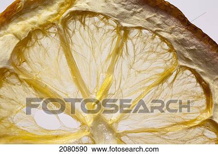 Stock Image - Close up of a dried lemon slice; calgary alberta canada. Fotosearch