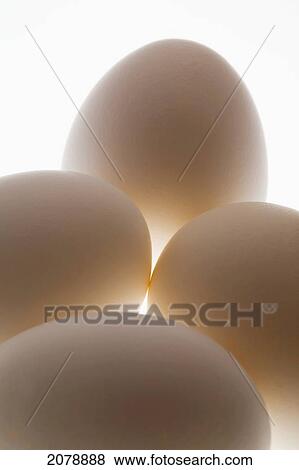 Close up of a group of eggs; calgary alberta canada View Large Photo Image Stock Photo - Close up of a group of eggs; calgary alberta canada. Fotosearch