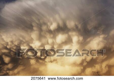 Close Up Of Dramatic Storm Clouds At Sunset; Calgary Alberta Canada View Large Photo Image Stock Image - Close Up Of Dramatic Storm Clouds At Sunset; Calgary Alberta Canada. Fotosearch