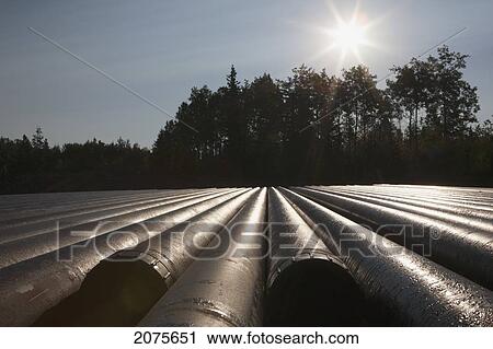 Stock Image - Close Up Of Drilling Pipes With Sunburst Trees And Blue Sky In The Background Near Drayton Valley; Alberta Canada. Fotosearch