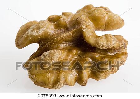 Close up of half of a walnut on a white background; calgary alberta canada View Large Photo Image Stock Image - Close up of half of a walnut on a white background; calgary alberta canada. Fotosearch