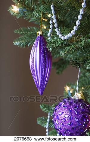 Close up of purple ornaments on a christmas tree; calgary alberta canada View Large Photo Image Stock Photo - Close up of purple ornaments on a christmas tree; calgary alberta canada. Fotosearch
