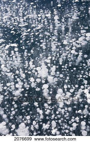 Close up of the pattern of frozen water bubbles in a frozen mountain lake; alberta canada View Large Photo Image Stock Photo - Close up of the pattern of frozen water bubbles in a frozen mountain lake; alberta canada. Fotosearch
