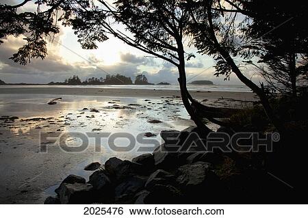 Stock Photograph - Clouds At Sunset Over Chesterman's Beach And Frank's Island Near Tofino; British Columbia Canada. Fotosearch