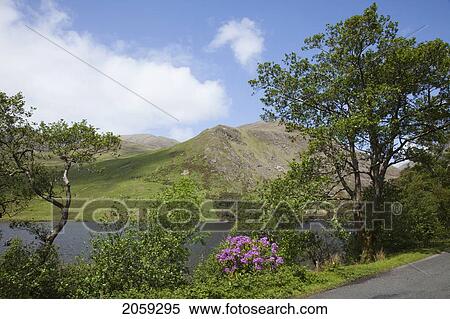 Stock Photography - Connemara Landscape Near Delphi; County Mayo Ireland. Fotosearch