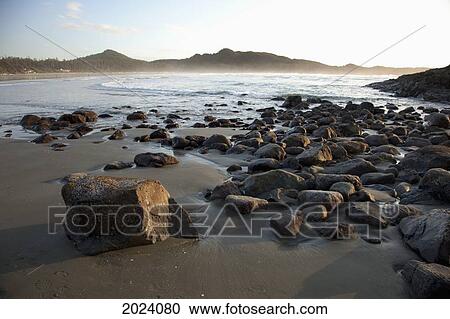 Cox Bay At Sunset Near Tofino; British Columbia Canada View Large Photo Image Stock Image - Cox Bay At Sunset Near Tofino; British Columbia Canada. Fotosearch