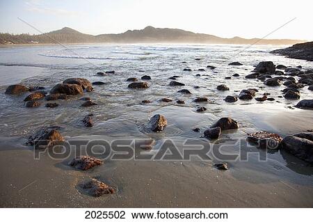 Stock Image - Cox Bay At Sunset Near Tofino; British Columbia Canada. Fotosearch
