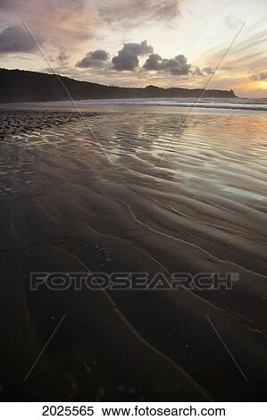 Stock Photography - Cox Bay Near Tofino; British Columbia Canada. Fotosearch