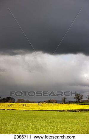 Dark storm clouds over farmland; yorkshire england View Large Photo Image Stock Image - Dark storm clouds over farmland; yorkshire england. Fotosearch