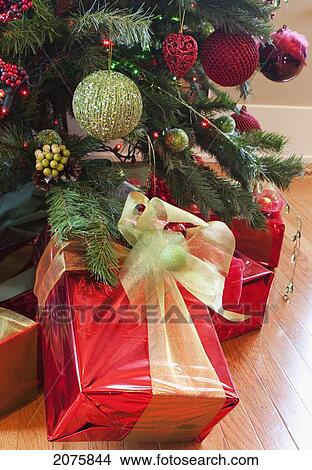 Picture - Decorative Wrapped Presents Under A Christmas Tree; Calgary Alberta Canada. Fotosearch