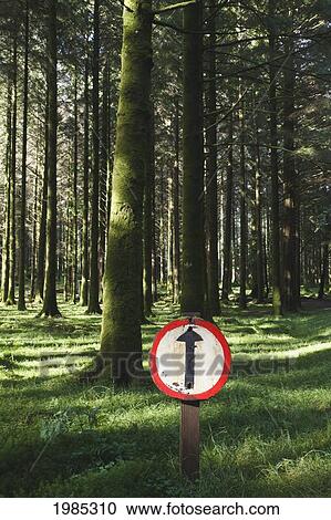 Direction Sign In Gougane Barra Forest Park; County Cork Republic Of Ireland View Large Photo Image Stock Image - Direction Sign In Gougane Barra Forest Park; County Cork Republic Of Ireland. Fotosearch