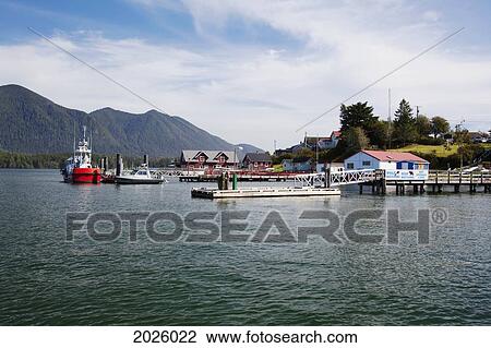 Docks And Boats In The Harbour; Tofino British Columbia Canada View Large Photo Image Stock Image - Docks And Boats In The Harbour; Tofino British Columbia Canada. Fotosearch