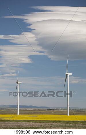 Stock Photograph - Dramatic Clouds With Blue Sky And Windmills In A Flowering Canola Field; Alberta Canada. Fotosearch