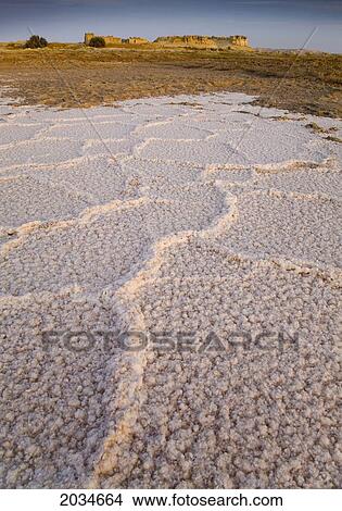 Dried Salt Deposits From A Dried Up Water Source On The Outskirts Of Siwa At The Siwa Oasis; Siwa Egypt View Large Photo Image Picture - Dried Salt Deposits From A Dried Up Water Source On The Outskirts Of Siwa At The Siwa Oasis; Siwa Egypt. Fotosearch