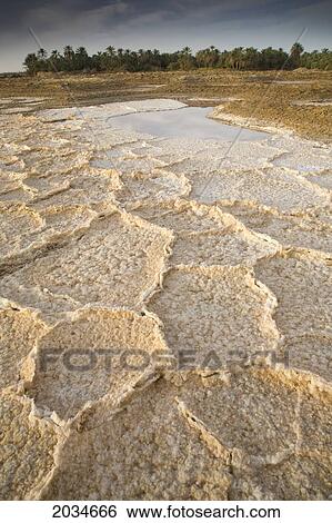 Dried Salt Deposits From A Dried Up Water Source On The Outskirts Of Siwa At The Siwa Oasis; Siwa Egypt View Large Photo Image Stock Photograph - Dried Salt Deposits From A Dried Up Water Source On The Outskirts Of Siwa At The Siwa Oasis; Siwa Egypt. Fotosearch