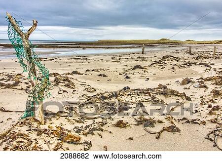 Driftwood and 3 wooden posts on a beach; holy island northumberland england View Large Photo Image Stock Image - Driftwood and 3 wooden posts on a beach; holy island northumberland england. Fotosearch