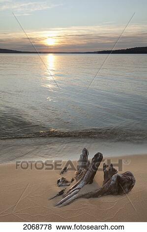 Driftwood On A Beach Of Lake Superior Near Marquette; Michigan United States Of America View Large Photo Image Stock Photo - Driftwood On A Beach Of Lake Superior Near Marquette; Michigan United States Of America. Fotosearch