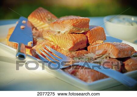 Elegant wedding plate of cooked salmon; vancouver british columbia canada View Large Photo Image Stock Photography - Elegant wedding plate of cooked salmon; vancouver british columbia canada. Fotosearch