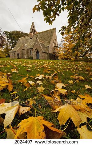 Fallen Leaves On The Grass In Autumn With A Church Building In The Background; Northumberland England View Large Photo Image Stock Photo - Fallen Leaves On The Grass In Autumn With A Church Building In The Background; Northumberland England. Fotosearch