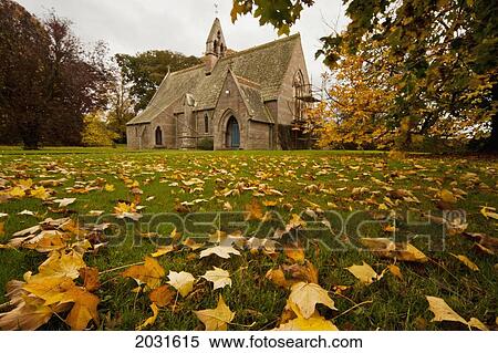 Stock Photography - Fallen Leaves On The Grass In Front Of A Church In Autumn; Northumberland England. Fotosearch