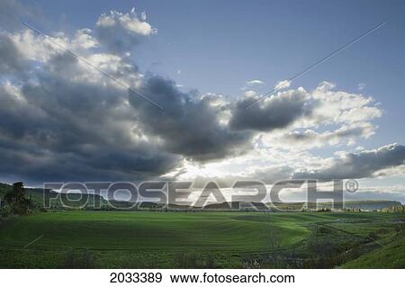 Farm Field At Sunset; Thunder Bay Ontario Canada View Large Photo Image Stock Photo - Farm Field At Sunset; Thunder Bay Ontario Canada. Fotosearch