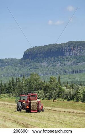 Farm tractor in a hay field; winnipeg manitoba canada View Large Photo Image Stock Image - Farm tractor in a hay field; winnipeg manitoba canada. Fotosearch